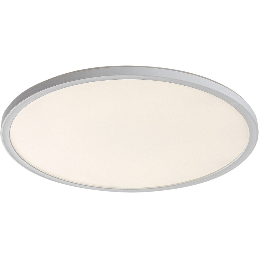 Rabalux 3428 - LED Dimbar Takbelysning PAVEL LED/22W/230V