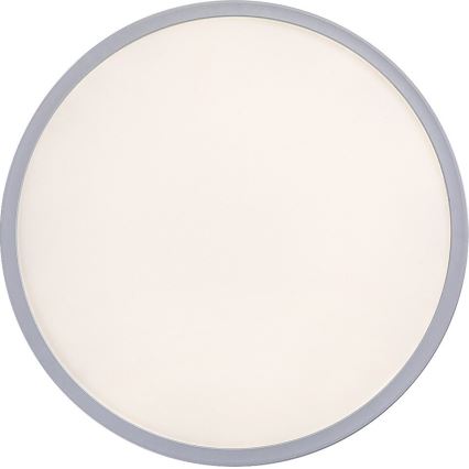 Rabalux 3428 - LED Dimbar Takbelysning PAVEL LED/22W/230V