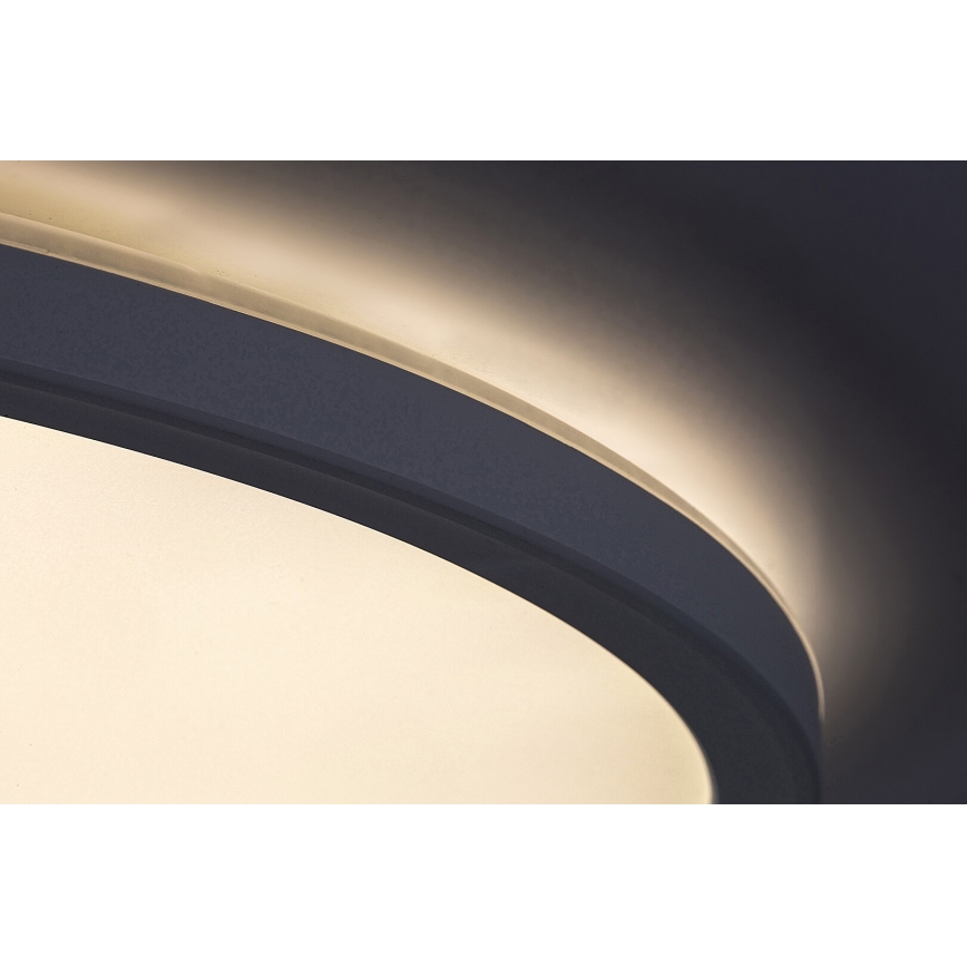 Rabalux 3428 - LED Dimbar Takbelysning PAVEL LED/22W/230V