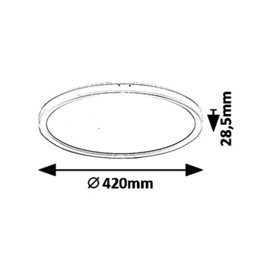Rabalux 3428 - LED Dimbar Takbelysning PAVEL LED/22W/230V