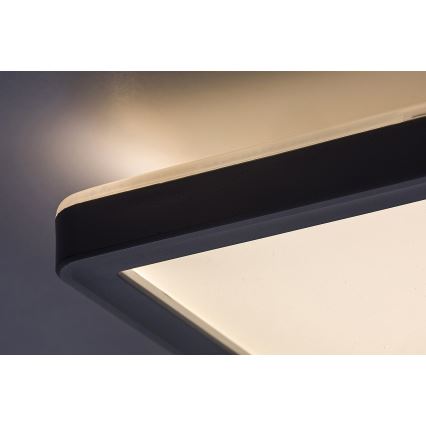 Rabalux 3430 - LED Dimbar Takbelysning PAVEL LED/22W/230V