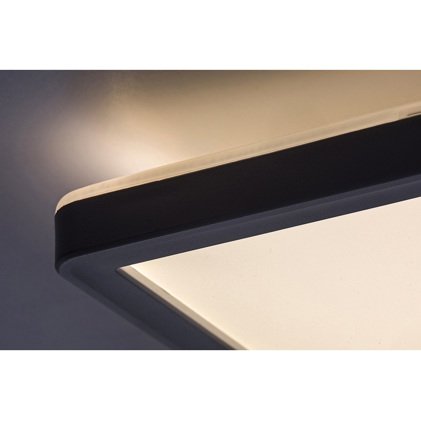 Rabalux 3430 - LED Dimbar Takbelysning PAVEL LED/22W/230V