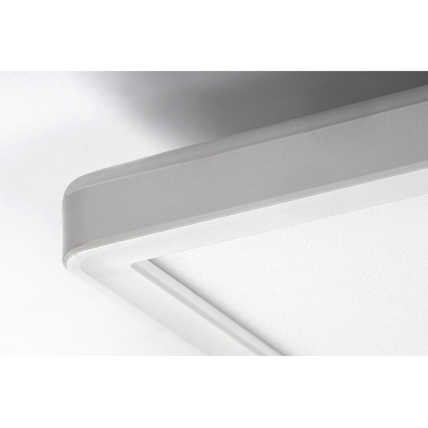 Rabalux 3430 - LED Dimbar Takbelysning PAVEL LED/22W/230V