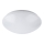 Rabalux 3434 - LED Takbelysning LUCAS 1xLED/12W/230V