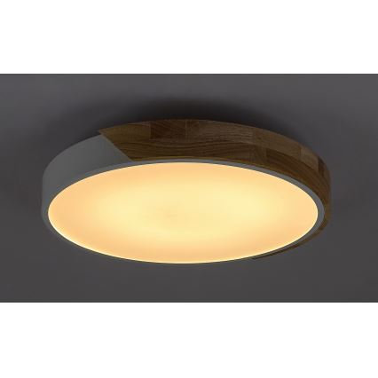 Rabalux - LED taklampa LED/24W/230V vit/ek