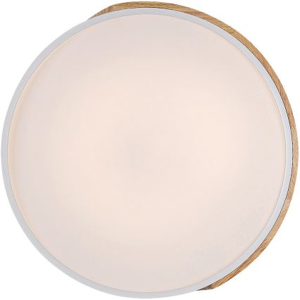 Rabalux - LED taklampa LED/24W/230V vit/ek