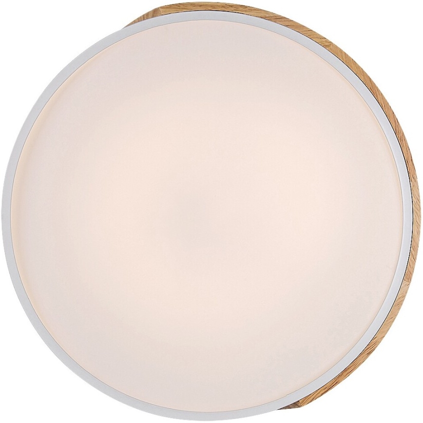 Rabalux - LED taklampa LED/24W/230V vit/ek