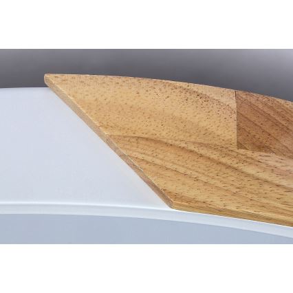 Rabalux - LED taklampa LED/24W/230V vit/ek