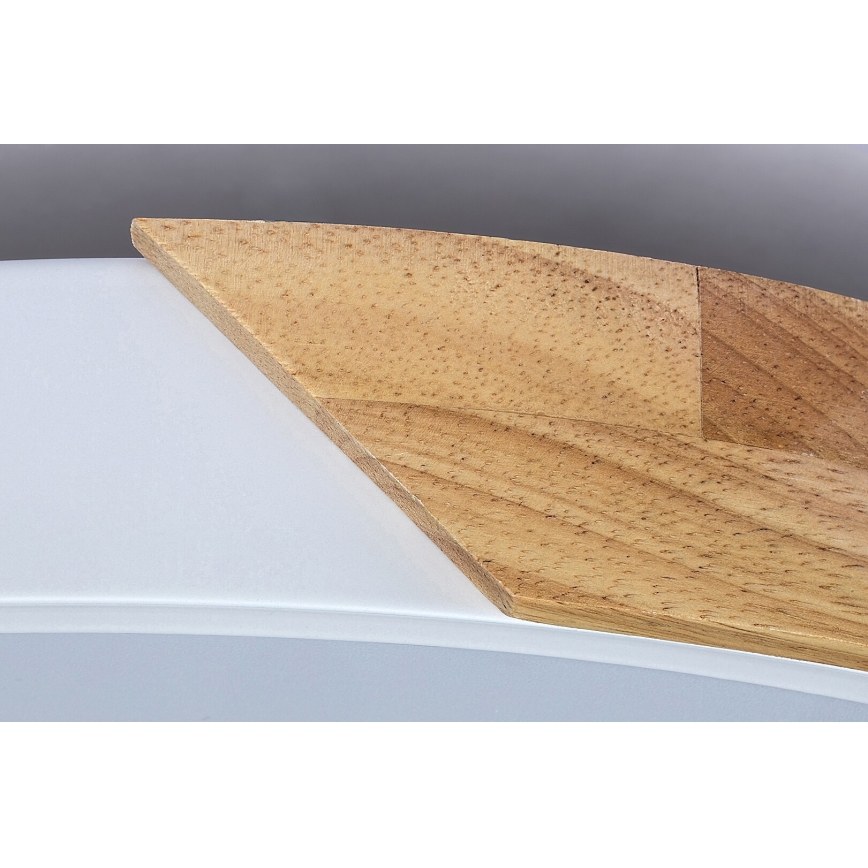 Rabalux - LED taklampa LED/24W/230V vit/ek
