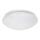 Rabalux 3936 - LED Takbelysning LUCAS LED/12W/230V