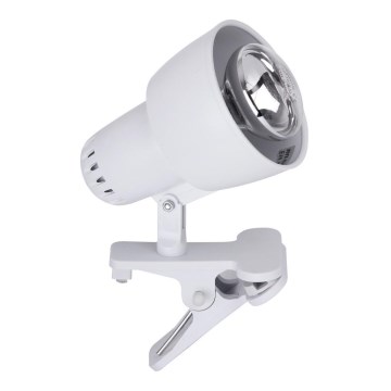 Rabalux 4356 - lampa med klämma 1xE14/40W/230V vit
