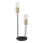 Rabalux 4560 - Bordslampa LANNY 2xE27/15W/230V