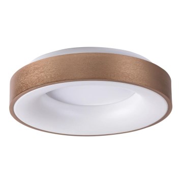 Rabalux 5052 - LED Takbelysning BilMELA LED/30W/230V
