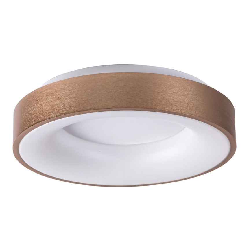 Rabalux 5052 - LED Takbelysning BilMELA LED/30W/230V