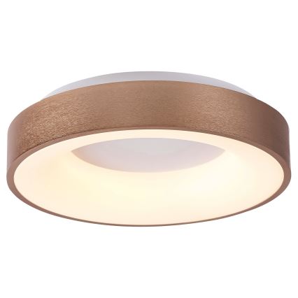 Rabalux 5052 - LED Takbelysning BilMELA LED/30W/230V