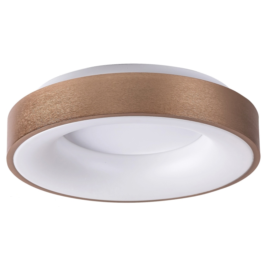 Rabalux 5052 - LED Takbelysning BilMELA LED/30W/230V