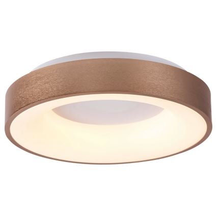 Rabalux 5053 - LED Takbelysning BilMELA LED/50W/230V