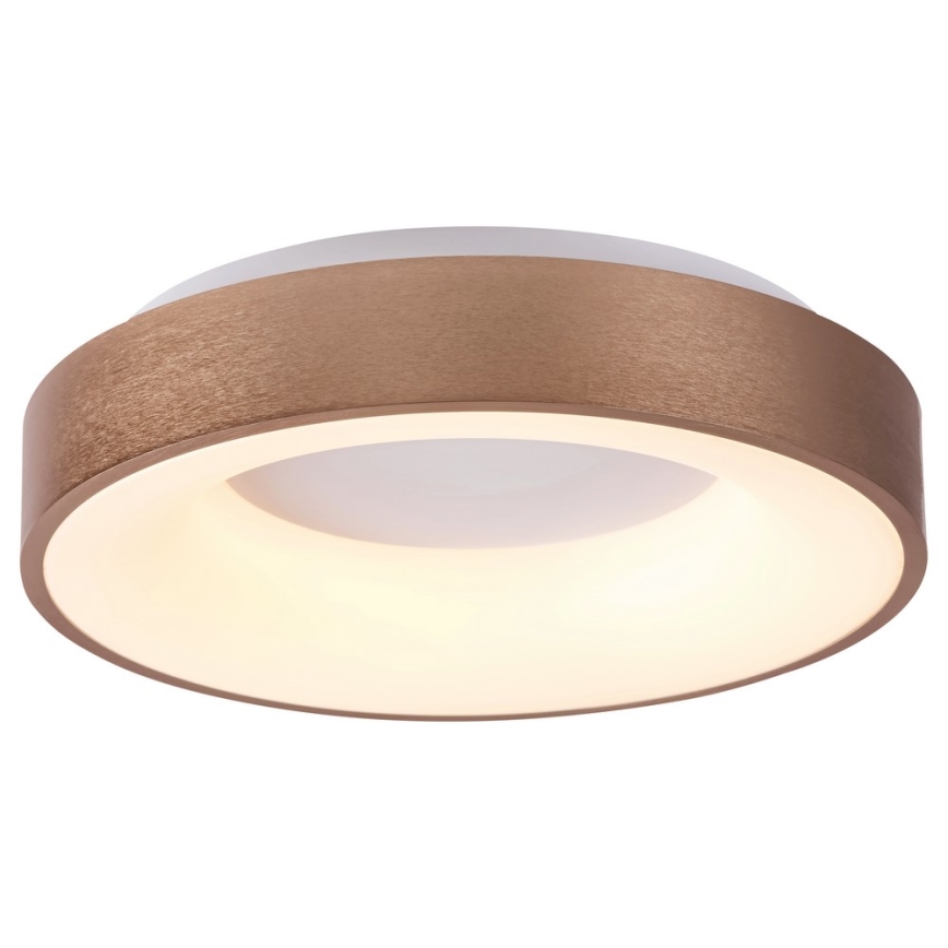 Rabalux 5053 - LED Takbelysning BilMELA LED/50W/230V