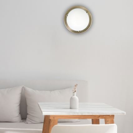 Rabalux - Taklampa 1xE27/60W/230V