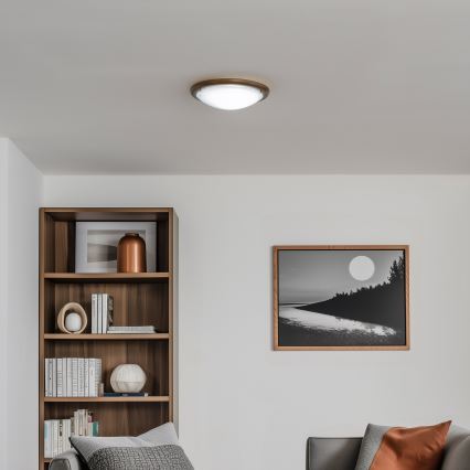 Rabalux - Taklampa 1xE27/60W/230V diameter 30 cm