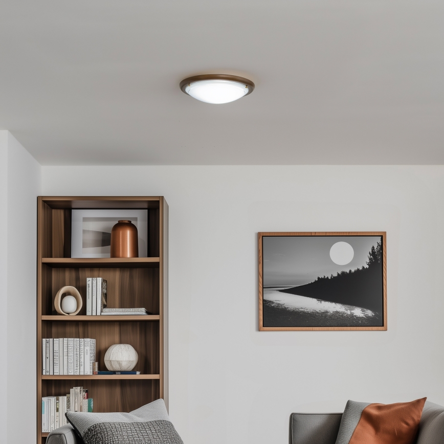 Rabalux - Taklampa 1xE27/60W/230V diameter 30 cm