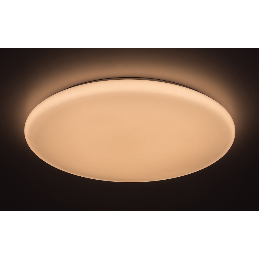 Rabalux 5450 - LED Dimbar Takbelysning DANNY LED/60W/230V