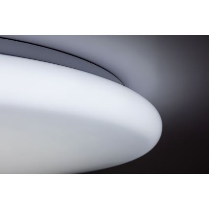 Rabalux 5450 - LED Dimbar Takbelysning DANNY LED/60W/230V