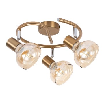 Rabalux 5549 - Spotlight HOLLY 3xE14/40W/230V guld