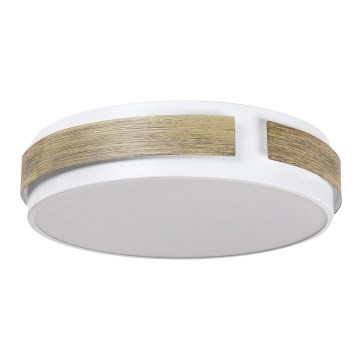 Rabalux 5646 - LED Dimbar Takbelysning SALMA LED/24W/230V