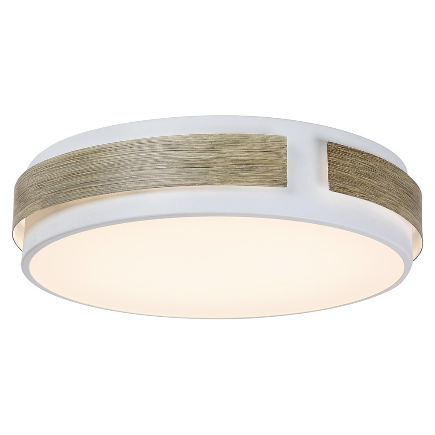 Rabalux 5646 - LED Dimbar Takbelysning SALMA LED/24W/230V
