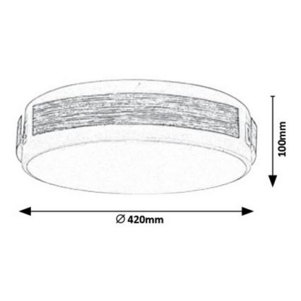 Rabalux 5646 - LED Dimbar Takbelysning SALMA LED/24W/230V