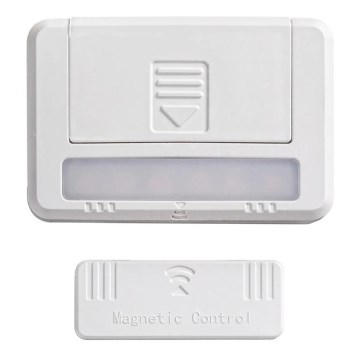Rabalux 5675 - SET 2xLED Garderobsbelysning MAGNUS LED/0,5W/3V