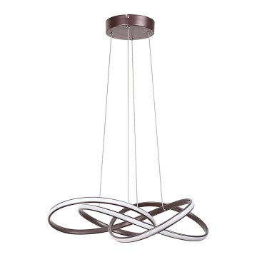 Rabalux 5692 - LED Ljuskrona med snöre AMBROSEIO LED/40W/230V