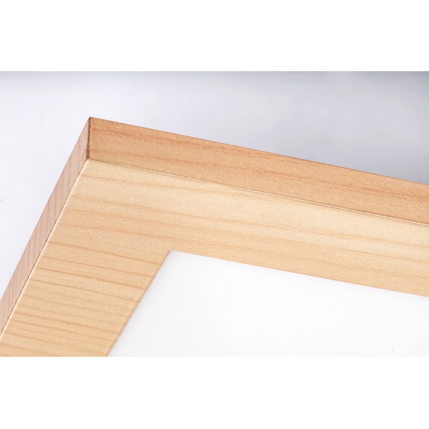 Rabalux - LED Surface-mounted panel LED/12W/230V 4000K
