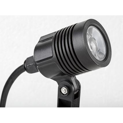 Rabalux - LED-lampa för utomhusbruk LED/3W/230V IP65