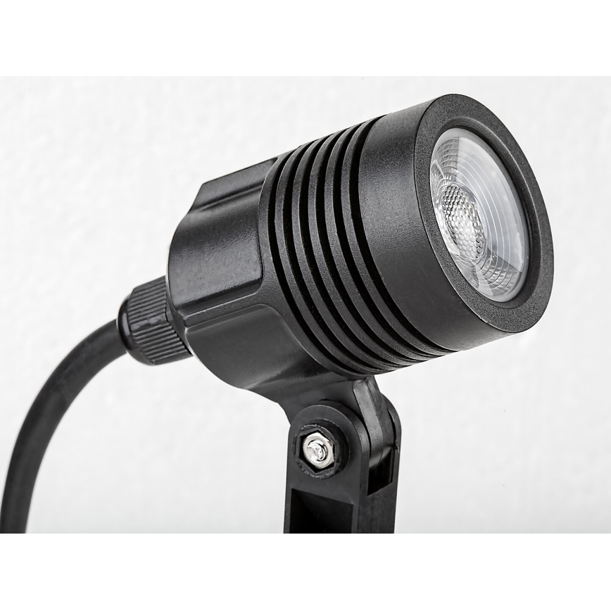 Rabalux - LED-lampa för utomhusbruk LED/3W/230V IP65