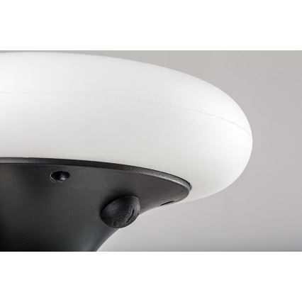Rabalux - LED RGB solcellsbelysning LED/0,6W/3,7V IP65