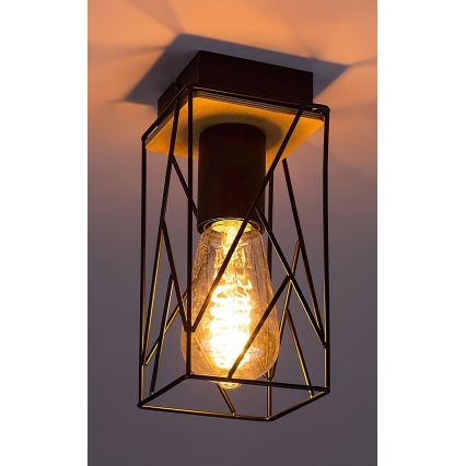 Rabalux - Taklampa 1xE27/40W/230V