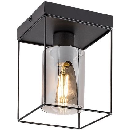 Rabalux - Taklampa 1xE27/25W/230V