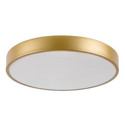 Rabalux - LED takarmatur LED/36W/230V 3000K Ø 40 cm