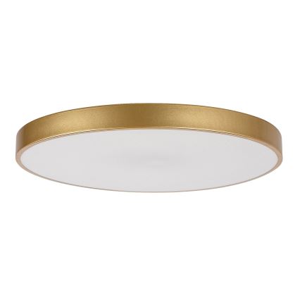 Rabalux - LED Dimbar taklampa LED/60W/230V 3000-6000K + fjärrkontroll