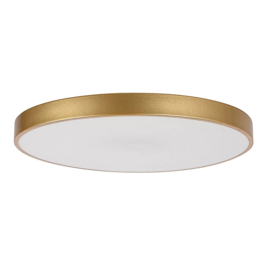 Rabalux - LED Dimbar taklampa LED/60W/230V 3000-6000K + fjärrkontroll
