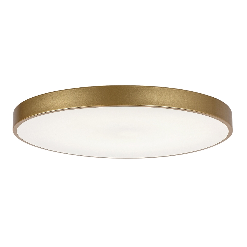 Rabalux - LED Dimbar taklampa LED/60W/230V 3000-6000K + fjärrkontroll