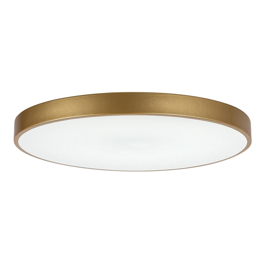 Rabalux - LED Dimbar taklampa LED/60W/230V 3000-6000K + fjärrkontroll