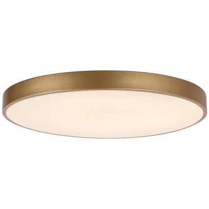 Rabalux - LED Dimbar taklampa LED/60W/230V 3000-6000K + fjärrkontroll