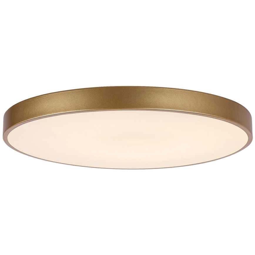 Rabalux - LED Dimbar taklampa LED/60W/230V 3000-6000K + fjärrkontroll