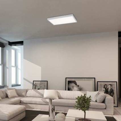 Rabalux - LED fäst panel LED/24W/230V 4000K 60x30 cm