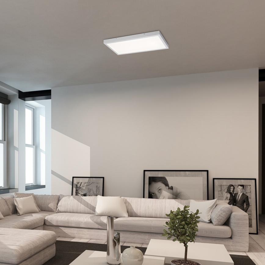 Rabalux - LED fäst panel LED/24W/230V 4000K 60x30 cm