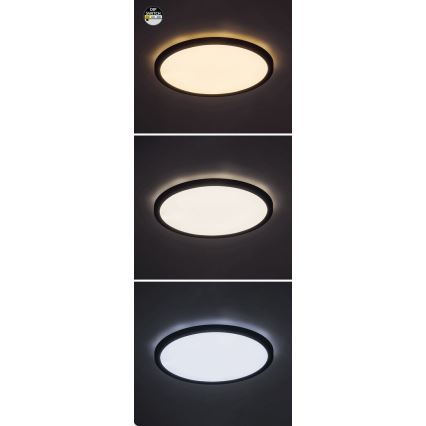Rabalux - LED taklampa LED/24W/230V 3000/4000/6000K diameter 29 cm svart