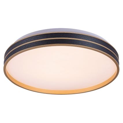 Rabalux - LED Dimbar taklampa LED/24W/230V 3000-6500K + fjärrkontroll